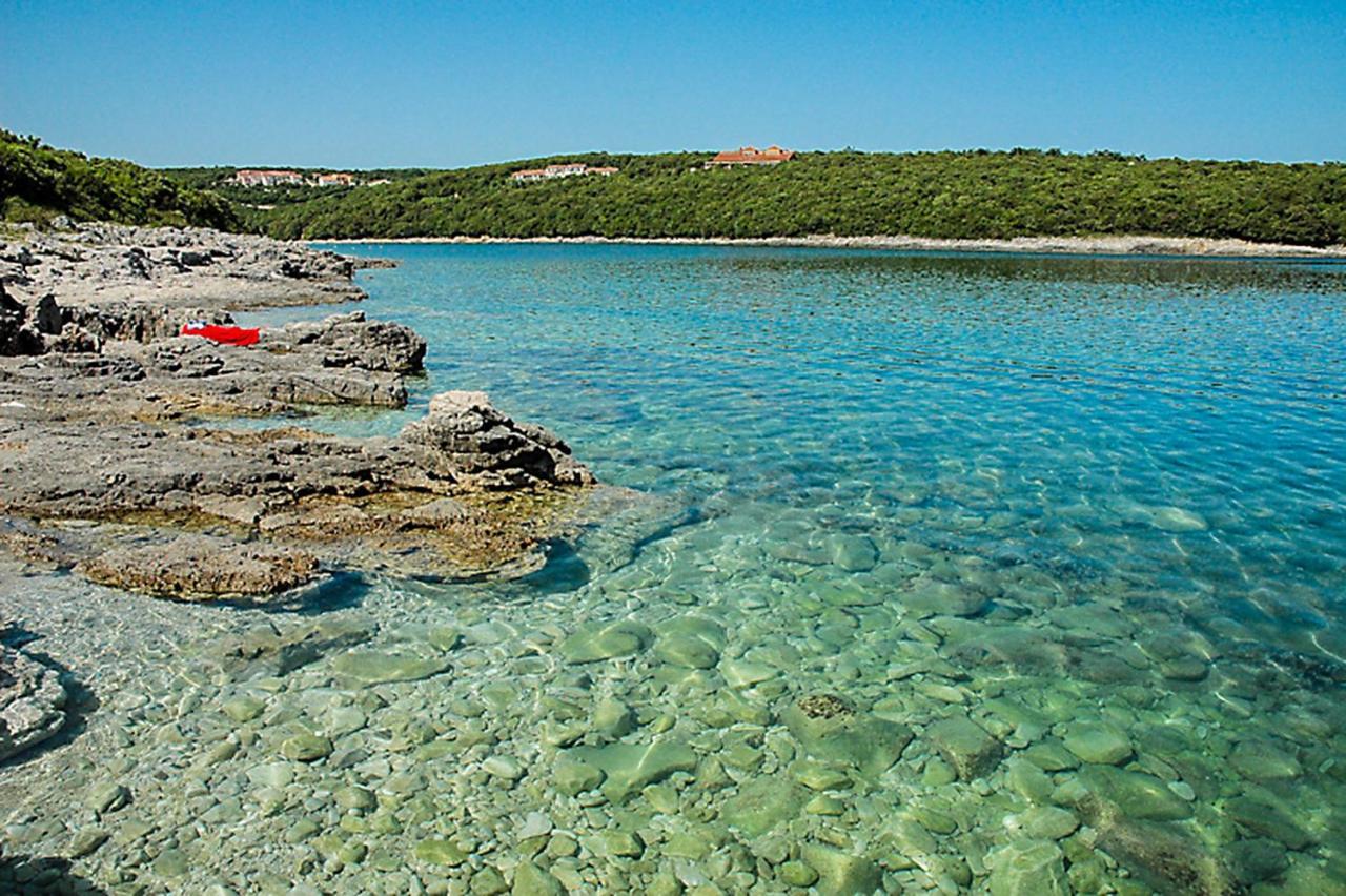 House Krizanic In Marcana, Istria, With 2 Apartments, Total 9 Guests Экстерьер фото